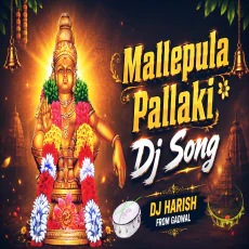 Mallepula Pallaki Dj Song