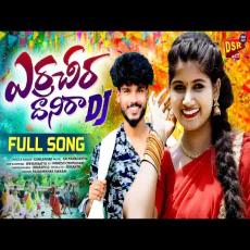 Erra Cheera Dhanira Dj Song