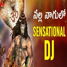 Nalla Nagulo Lord Shiva Dj Song Nalla Nagulo Lord Shiva Dj Song
