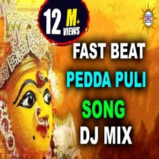 Fast Beat PedhaPuli Song Dj Mix Fast Beat PedhaPuli Song Dj Mix