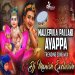 Mallepula Pallaki Full Song Remix